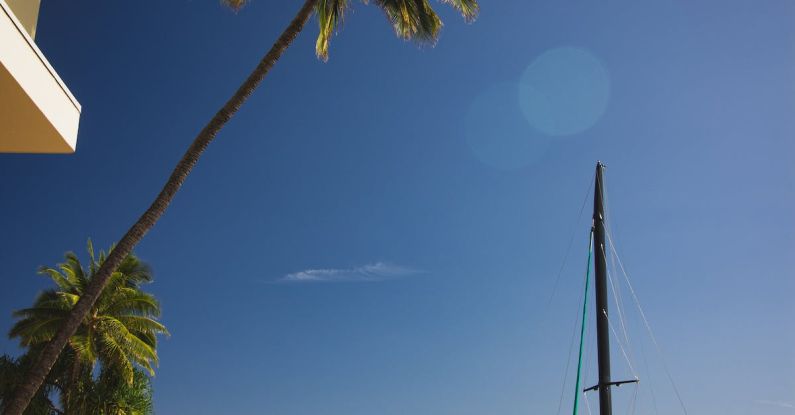 Gastronomy Tour - Waikiki beach