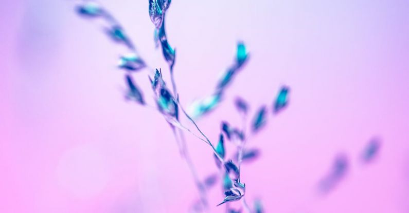 Uprising - Red and Green Plant in Close Up Photography