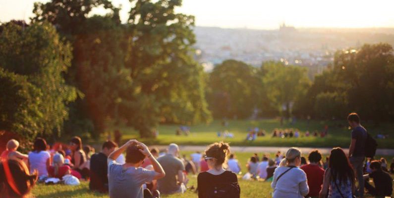 Parks - Group of People Enjoying Music Concert