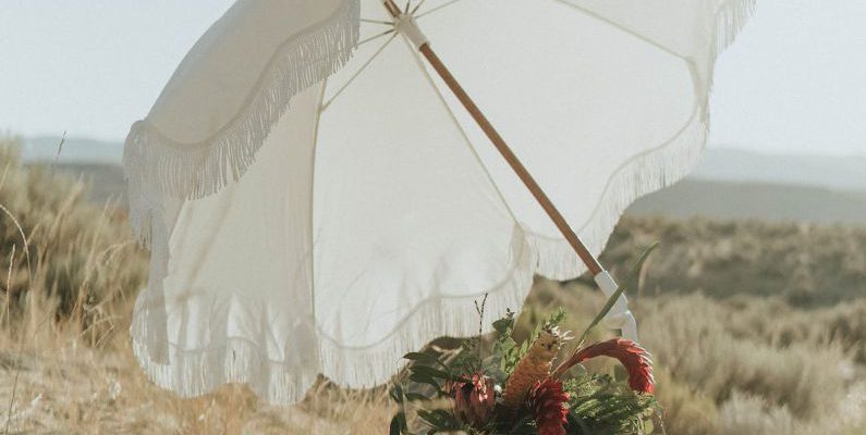 Day Trips - Small wicker basket with fresh wildflowers under white umbrella left on sandy beach in sunny day
