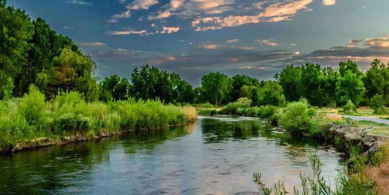 River - Body of Water and Green Field Under Blue Sky Photo