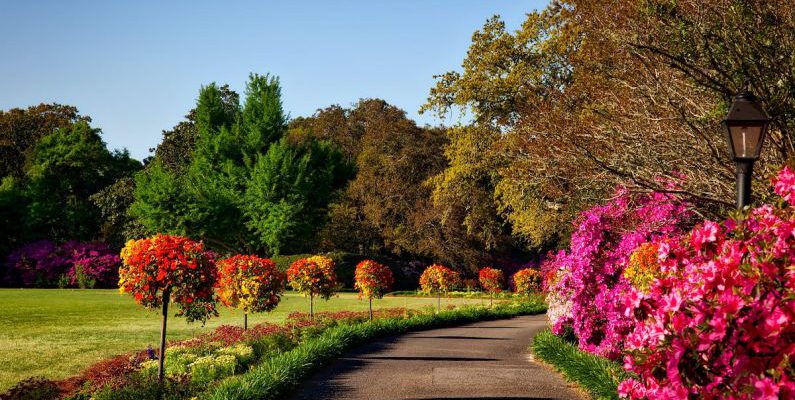 Gardens - Gray Concrete Pathway Besides Pink Flower during Day